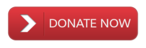 Donate-Button